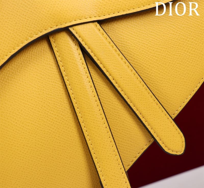 Christian Dior Saddle Bags